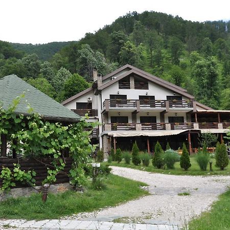 Pensiunea Valahia Brezoi Bagian luar foto
