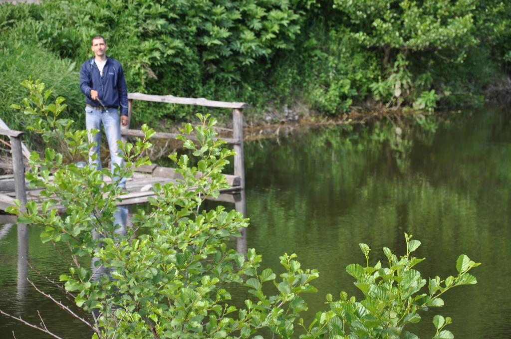 Pensiunea Valahia Brezoi Bagian luar foto