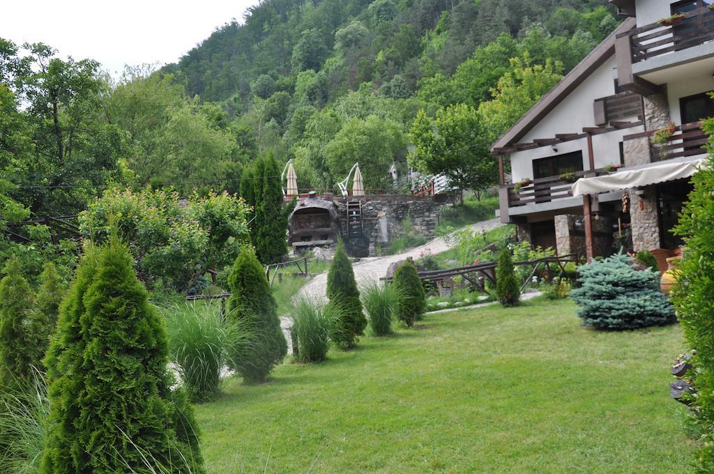 Pensiunea Valahia Brezoi Bagian luar foto
